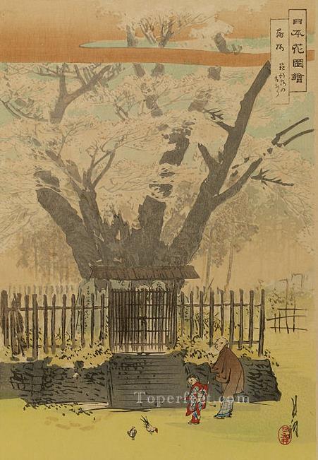 nihon hana zue 1896 1 Ogata Gekko Japonés Pintura al óleo